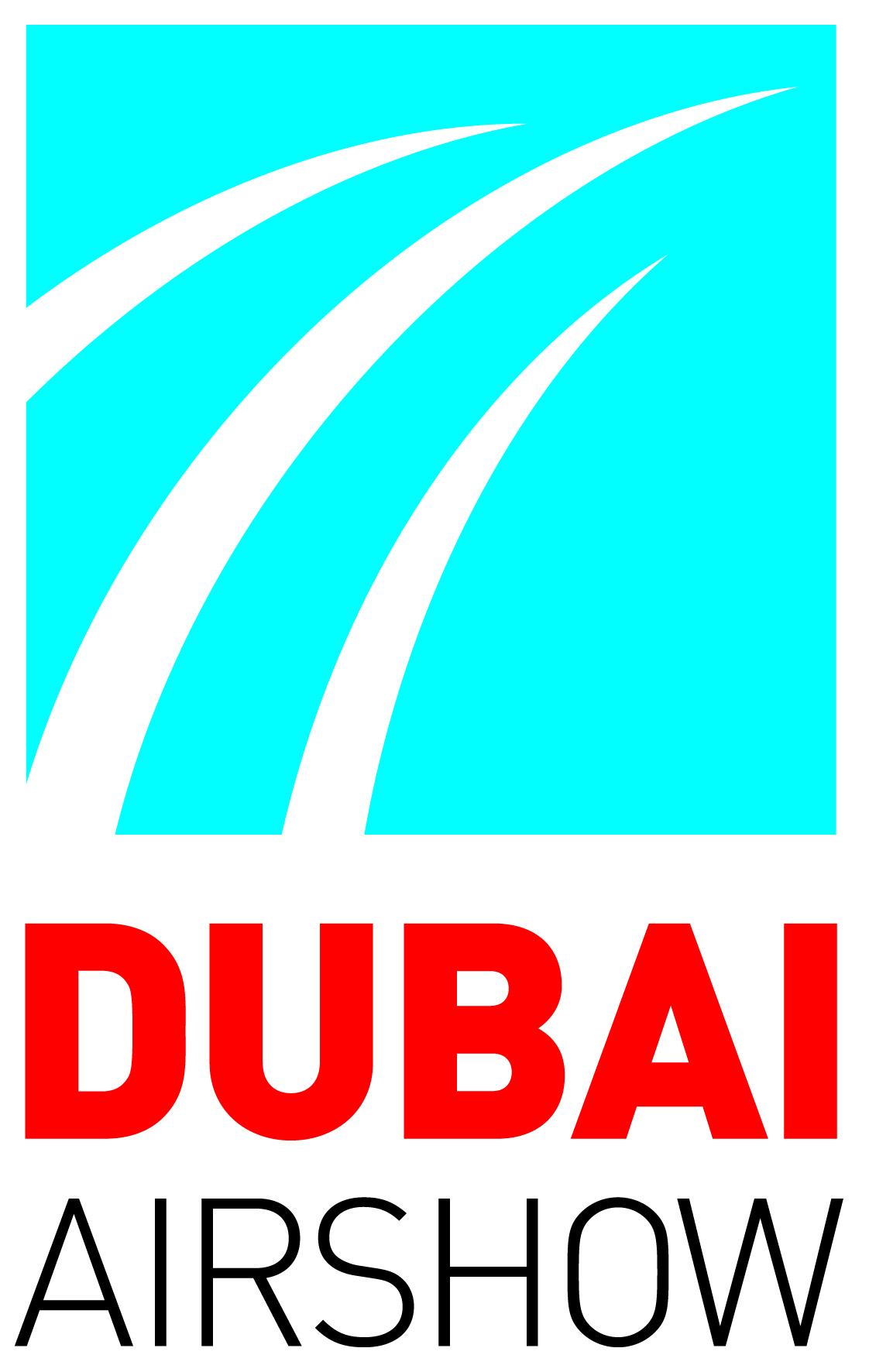 Dubai_Airshow_2013_vertical
