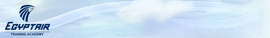 Simulator System Banner